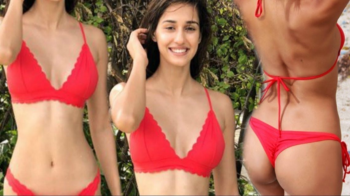 Nora Fatehi Sexy Hot Porn Bikini - 30 Hottest Disha Patani Photos The Most Desirable Girl